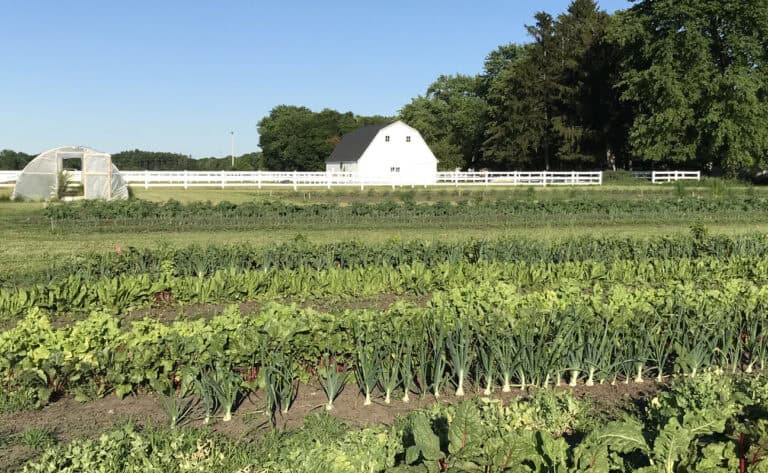 Vegetable farm with greenhouse and barn