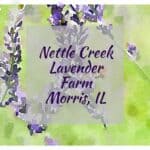 Nettle Creek Lavender Farm sign, Morris, IL