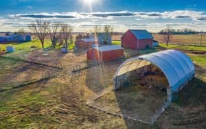 Sunny rural farm with red barns and a barnyard.