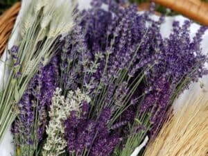 Mixed bouquet of lavender and grasses in basket.